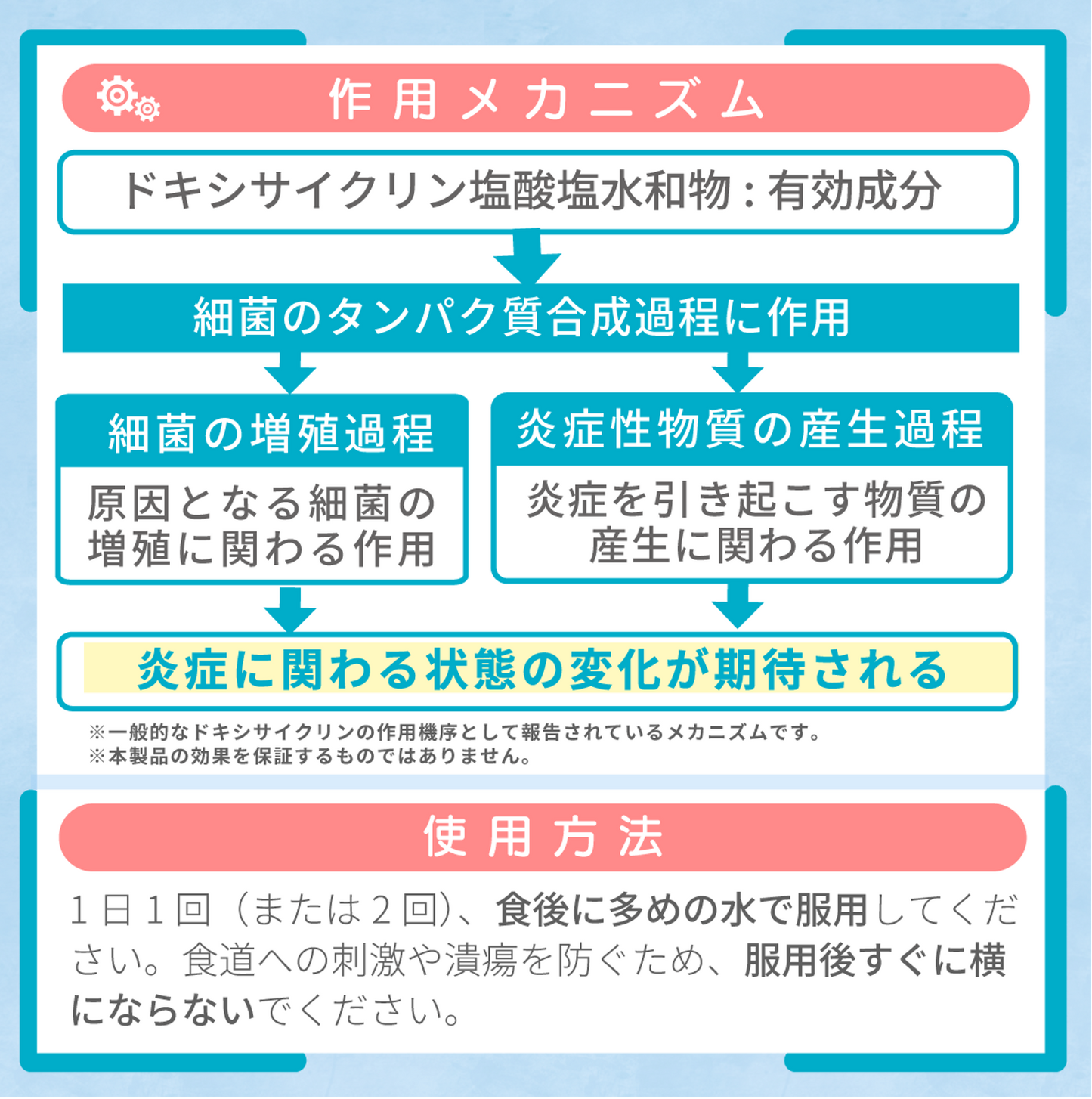 ビブラマイシン錠