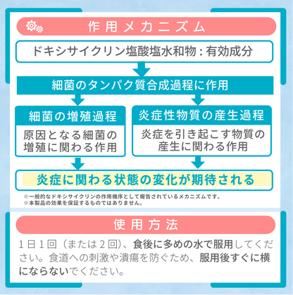 ビブラマイシン錠