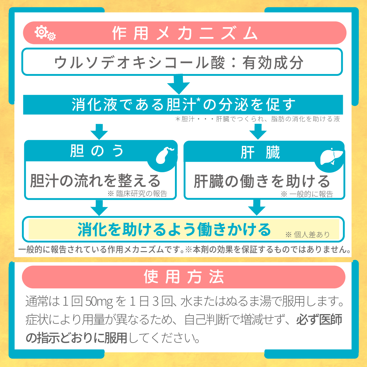 ウルソデオキシコール
