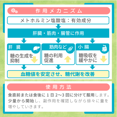 メトホルミン
