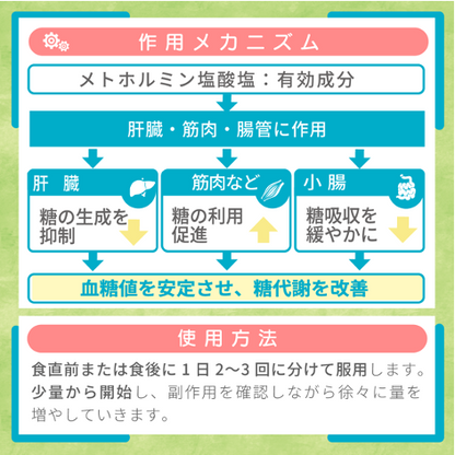 メトホルミン